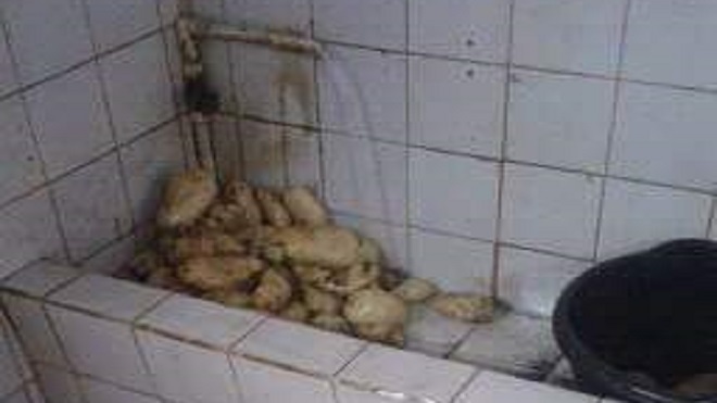 papas, orinan hombres mingitorio