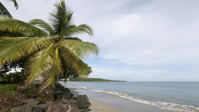 corales caribe cambio climático