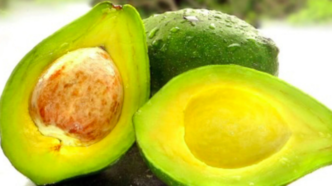 Aguacate