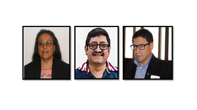 convergencia diputados directiva guatevision