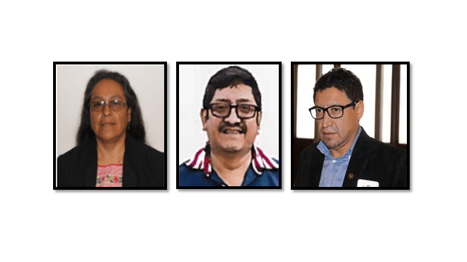 convergencia diputados directiva guatevision