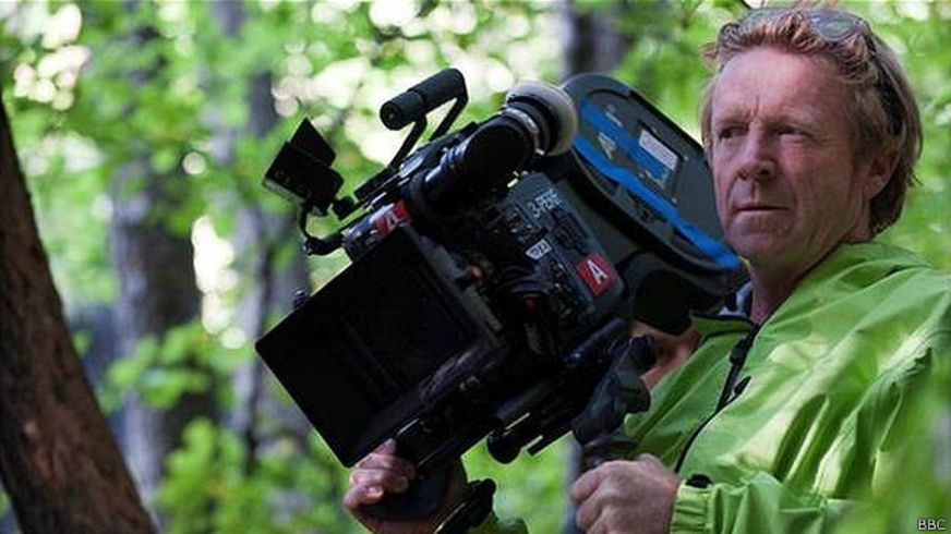 Director
