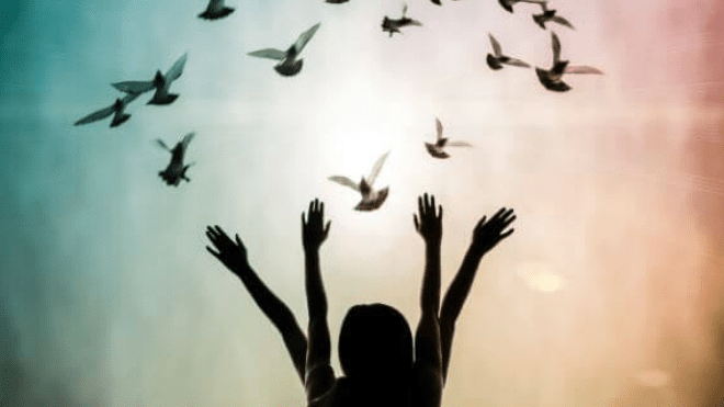 Foto de silueta con aves volando a su alrededor vida