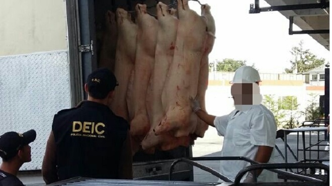 animales-de-contrabando-rastros