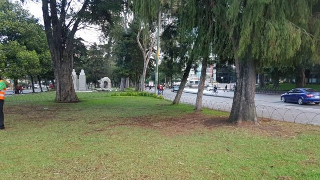 Delincuentes en avenida reforma
