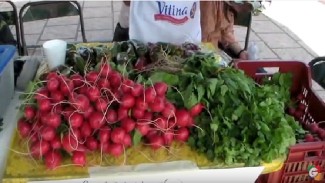 Pequeños productores de hortalizas en San Marcos con visión de exportación
