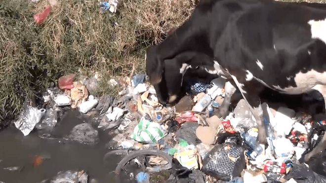 La basura, un problema que afecta el ornato y la&hellip;