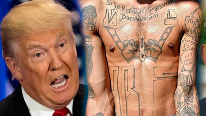 Trump anunció política de "tolerancia cero" contra la Mara Salvatrucha