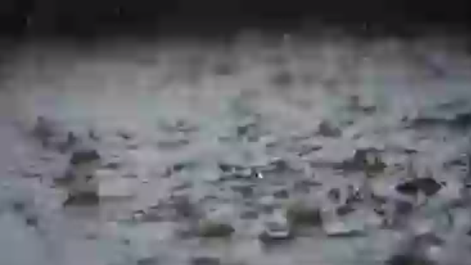 [Viva La Noticia] Lluvias afectan gran parte del territorio nacional