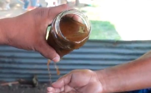 aguas contaminadas en Izabal y Rio Dulce