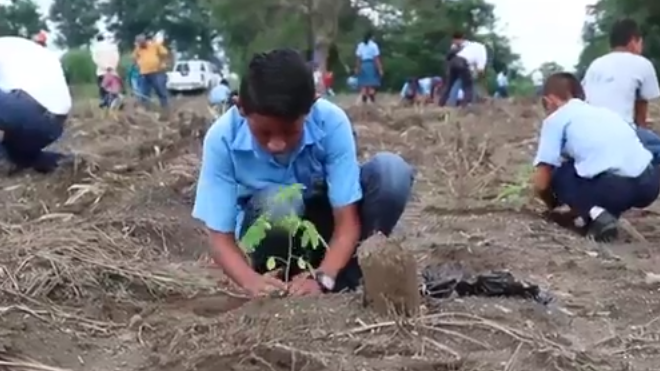 Barrera ecológica para el Río Madre vieja en Escuintla