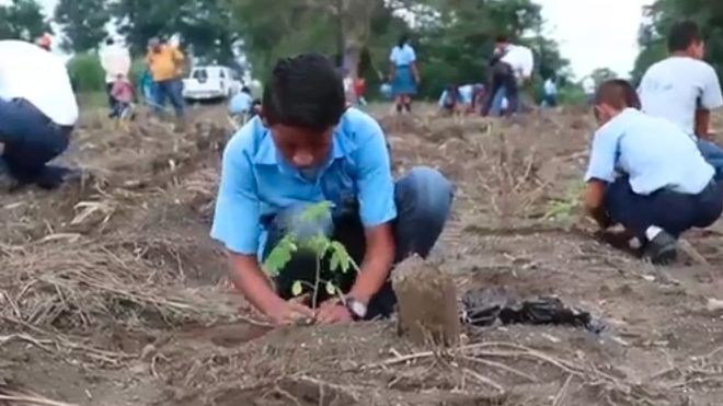 Barrera ecológica para el Río Madre vieja en Escuintla