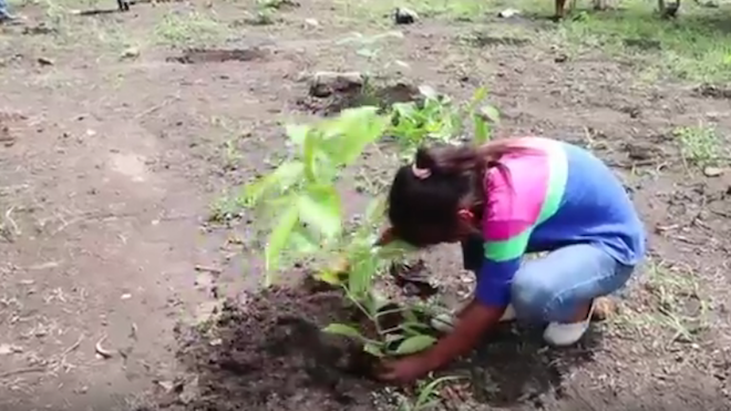 Monjas, Jalapa un municipio que es reforestado por estudiantes