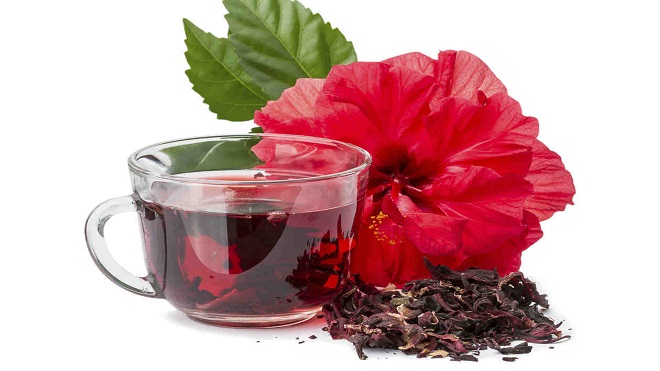 rosa de jamaica