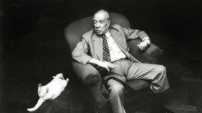 Un Show con Tutu: entre plumas y gatos