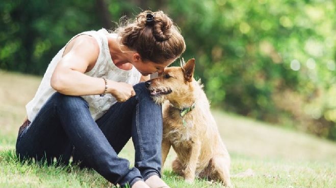 GETTY IMAGES Que los perros tienen un sentido del olfato mejor que el nuestro es una idea ampliamente aceptada pero que no tiene base científica, asegura el estudio.