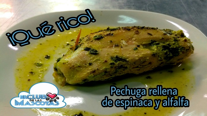 pollo