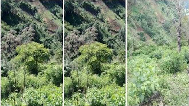 MP entrega finca en Sacatepéquez vinculada a “Los Sierra Obando”