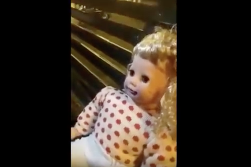 Muñeca