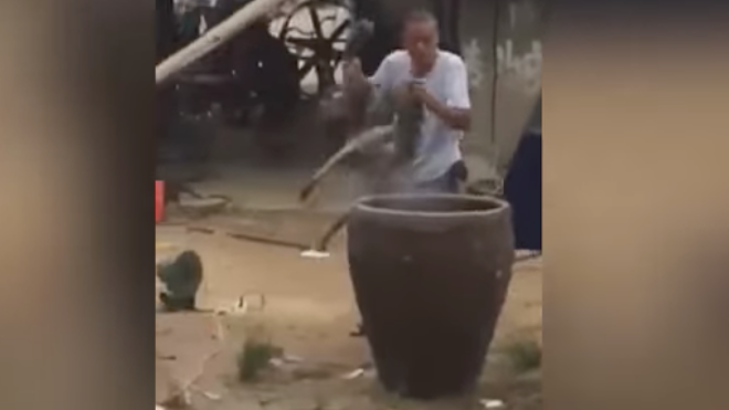Cocinan a un perro en aceite hirviendo para comérselo [VIDEO]