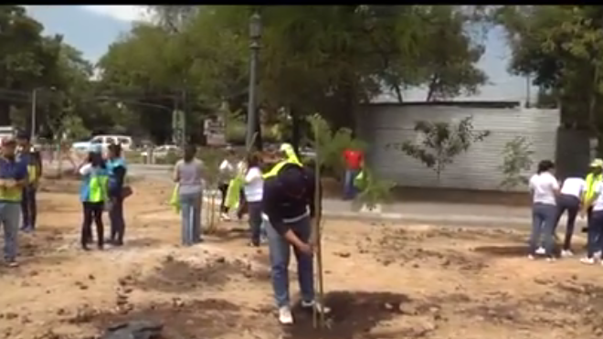 NUEVOS VECINOS VERDES DE LA CIUDAD, REFORESTACIÓN