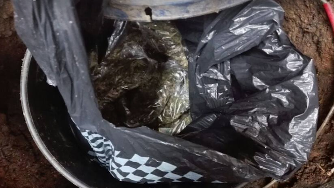 Villa Nueva: ¿Quiere tamales? de cerdo, pollo y marihuana