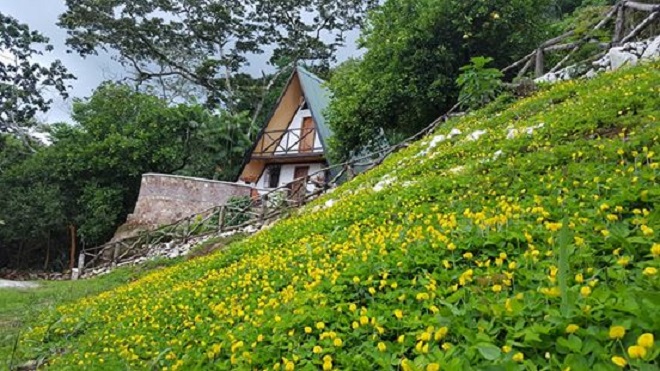 FINCA LAS FLORES, OLOPA