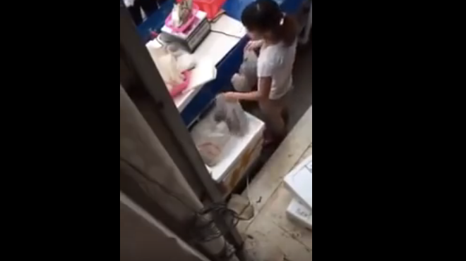 Vendedora de pescado abusiva en China