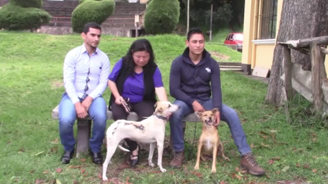 Personas que se dedican a rescatar perros callejeros en Cobán.