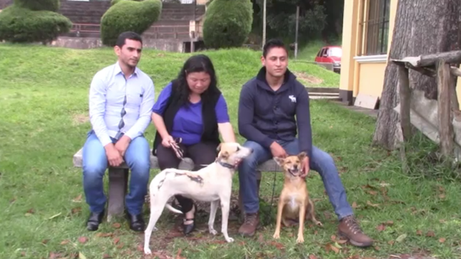 Personas que se dedican a rescatar perros callejeros en Cobán.
