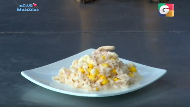 #CocinaCDM Un delicioso risotto para nuestras mascotas