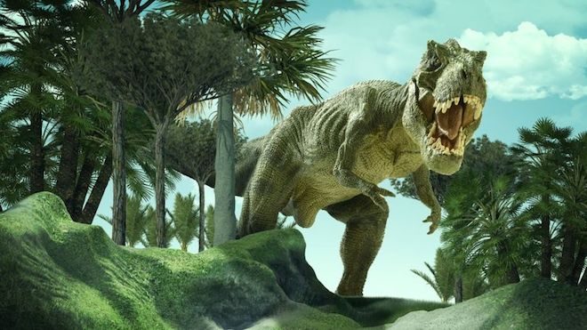 GETTY IMAGES Mucho menos veloces que como los describen en las películas.