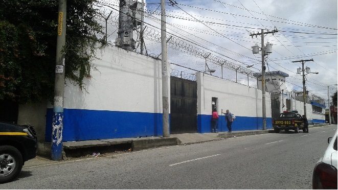 gaviotas