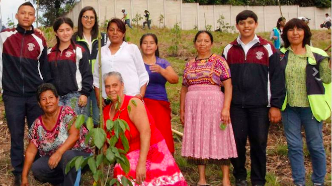 REFORESTAN EN ZONA 21 NIMAJUYÚ