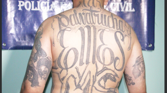 pandillero, El triquis, mara salvatrucha