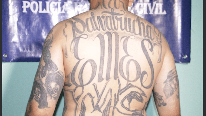 pandillero, El triquis, mara salvatrucha