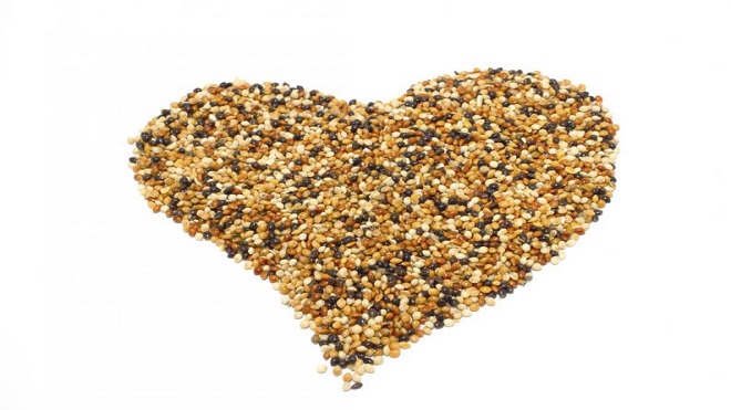 alpiste