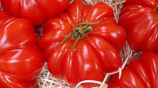 tomate