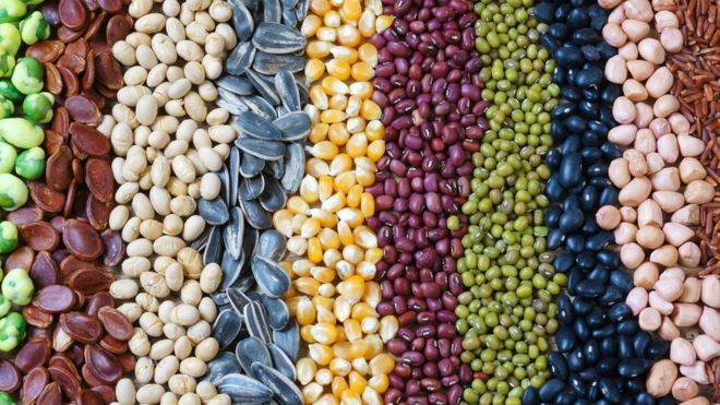 3 tipos de alimentos que ayudan a controlar el apetito