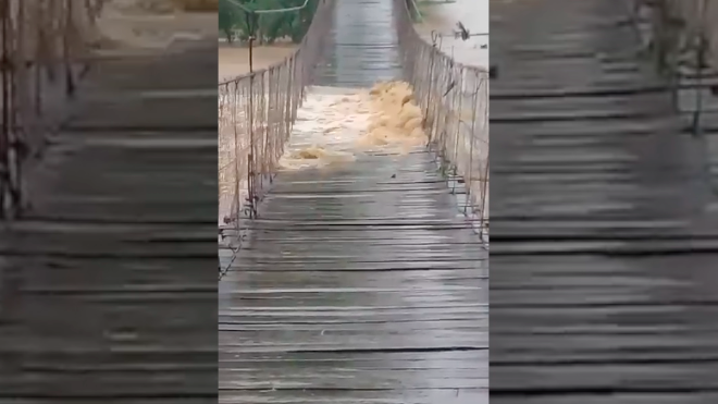 Animales muertos por las lluvias y vientos fuertes