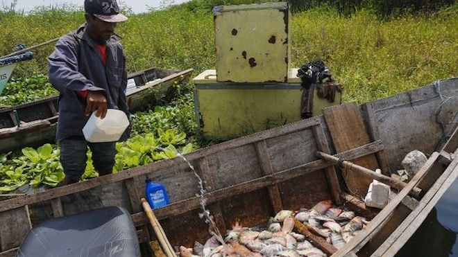Lago contaminado aporta alimento y empleo para pobres en Nicaragua