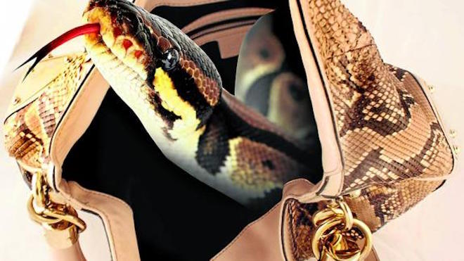 Gigante del lujo Gucci prohíbe las pieles en sus colecciones