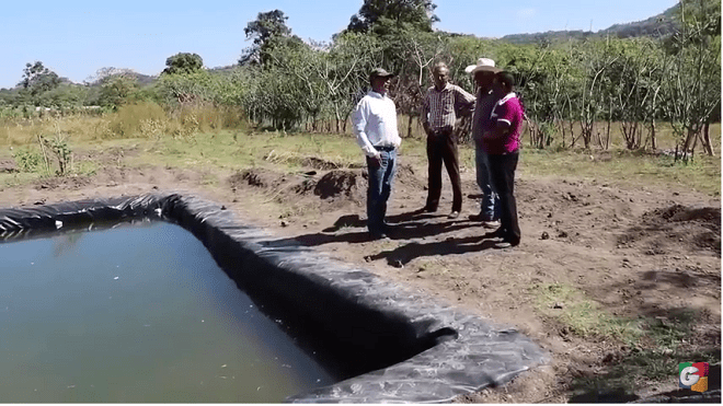 supervisan proyecto