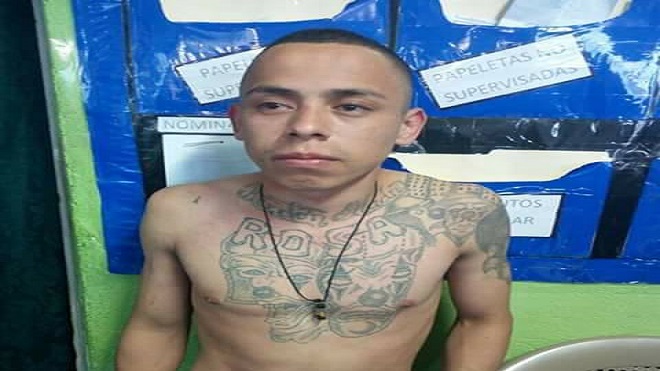 ebriedad