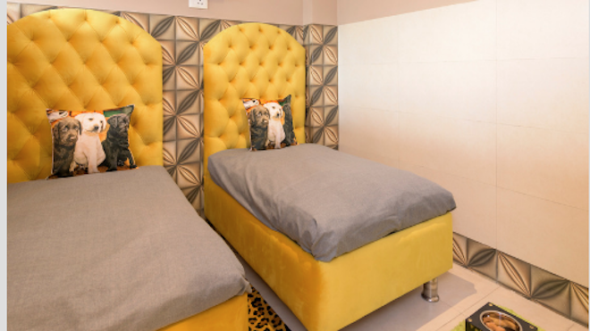 Guau: Conozca el primer hotel de lujo para perros [GALERÍA] 