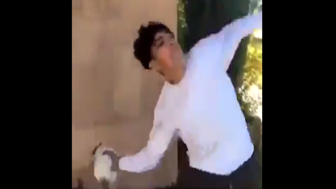 VIDEO: lanza a un gato por los aires y presume su acto en las redes sociales