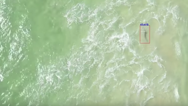 VIDEO: Despliega drones en las playas para vigilar a los tiburones