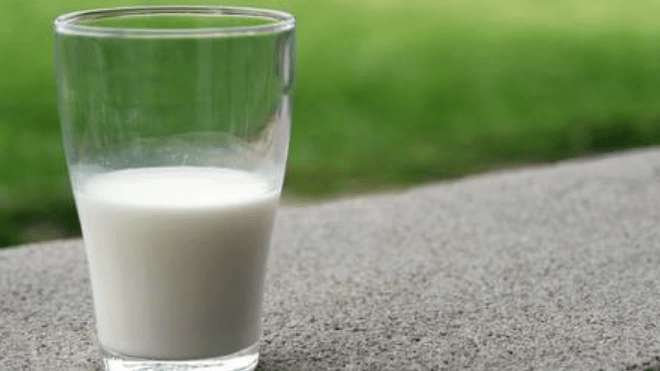 leche infantil contaminada con salmonella