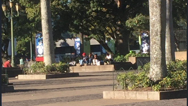 14 grupos asaltan en plena Plaza Central, frente al Palacio Nacional