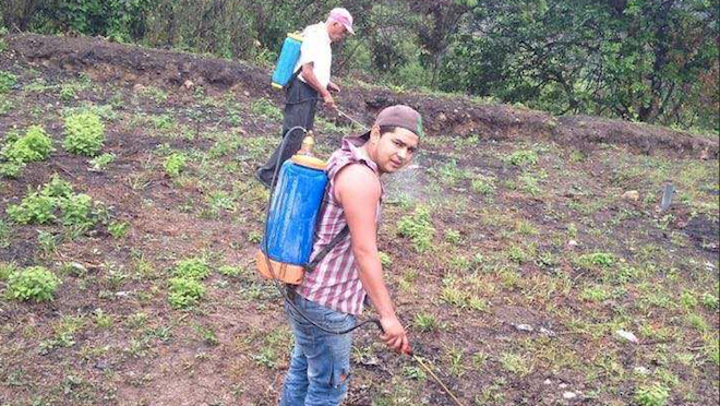Guatemalteco es asesinado en festejos de Año Nuevo en Estados Unidos